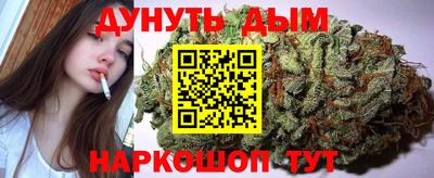 spice Бийск