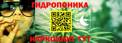 каннабис Берёзовский