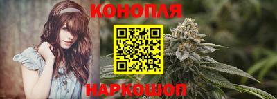 Альфа ПВП Беслан