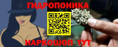 каннабис Берёзовский