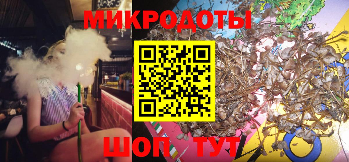 Псилоцибиновые грибы прущие грибы Заводоуковск